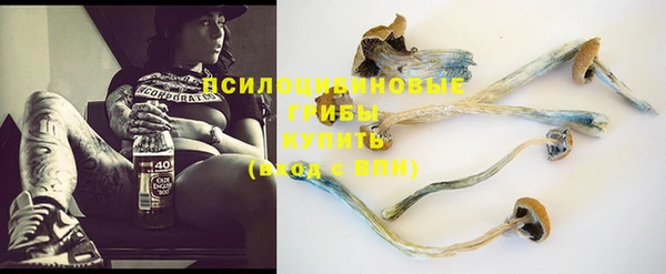 стафф Алексеевка