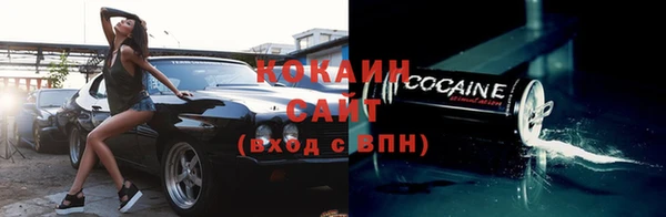 прущие крисы Аркадак