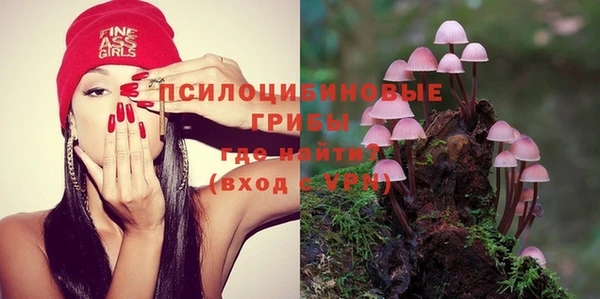 прущие крисы Аркадак